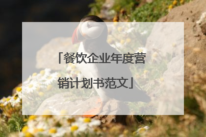 餐饮企业年度营销计划书范文