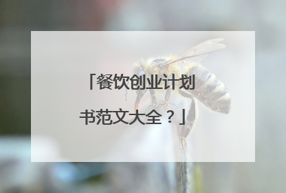 餐饮创业计划书范文大全？