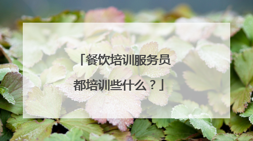 餐饮培训服务员都培训些什么?