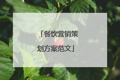 餐饮营销策划方案范文