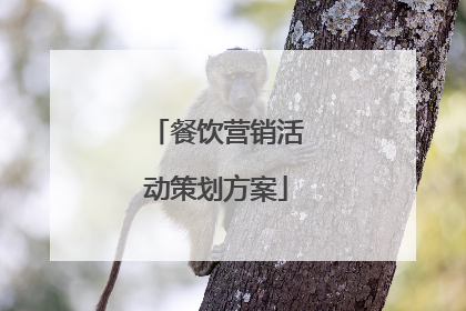 餐饮营销活动策划方案