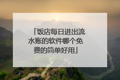 饭店每日进出流水账的软件哪个免费的简单好用