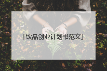 饮品创业计划书范文