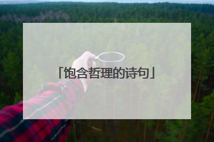 饱含哲理的诗句