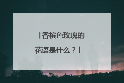 香槟色玫瑰的花语是什么？