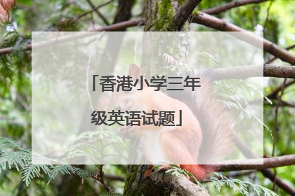 香港小学三年级英语试题
