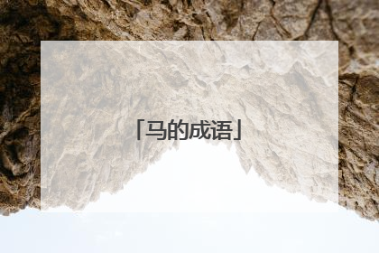 马的成语