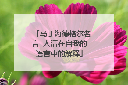 马丁海德格尔名言 人活在自我的语言中的解释