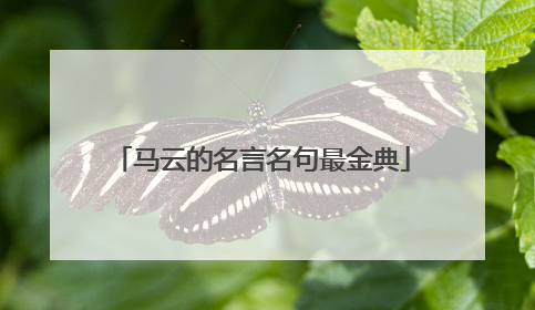 马云的名言名句最金典
