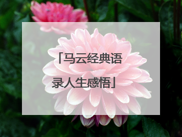 马云经典语录人生感悟