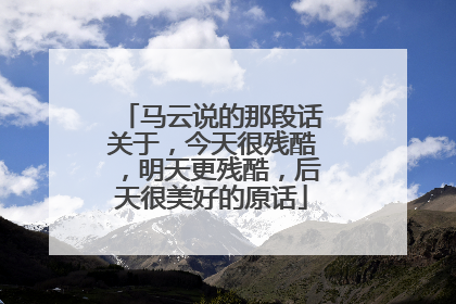 马云说的那段话关于,今天很残酷,明天更残酷,后天很美好的原话