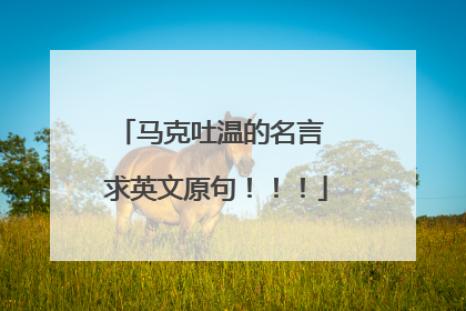 马克吐温的名言 求英文原句!!!