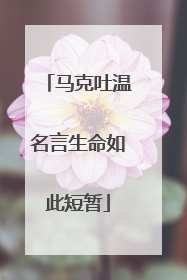 马克吐温名言生命如此短暂