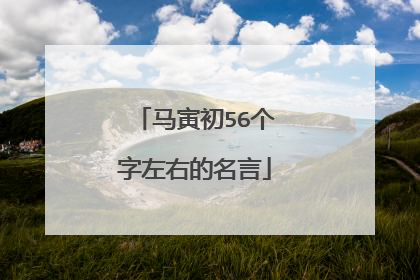 马寅初56个字左右的名言