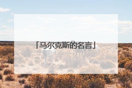 马尔克斯的名言