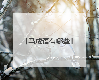 马成语有哪些