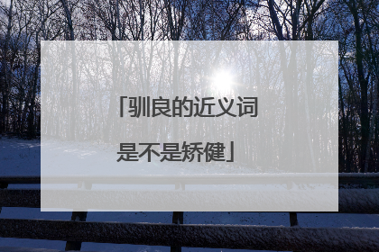 驯良的近义词是不是矫健