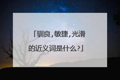驯良,敏捷,光滑的近义词是什么?