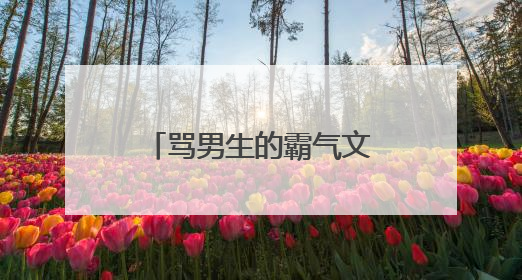 骂男生的霸气文章10000字