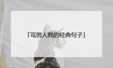 骂男人贱的经典句子