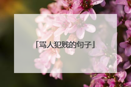 骂人犯贱的句子