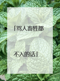 骂人畜牲都不入的话