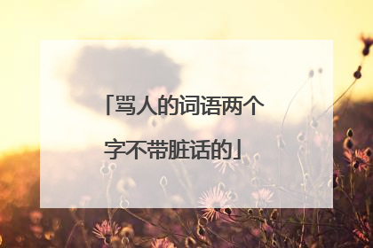 骂人的词语两个字不带脏话的