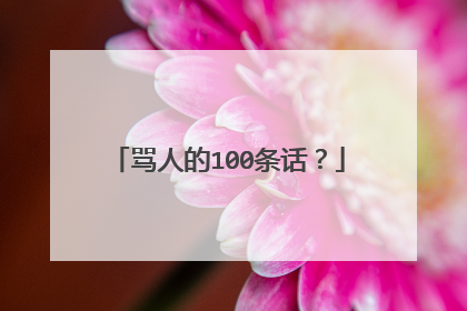 骂人的100条话?