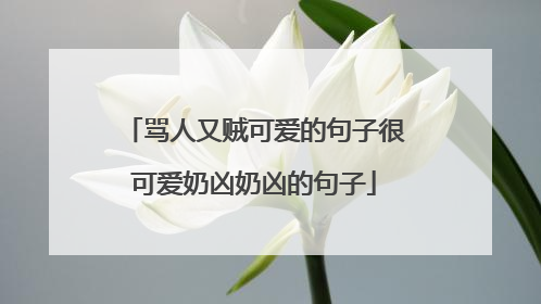 骂人又贼可爱的句子很可爱奶凶奶凶的句子