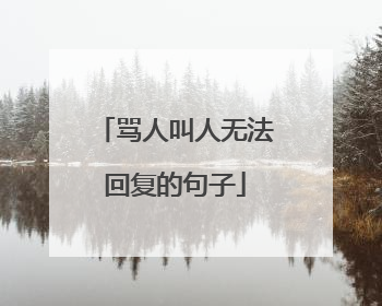骂人叫人无法回复的句子