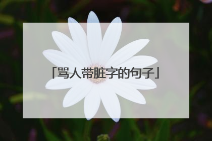 骂人带脏字的句子