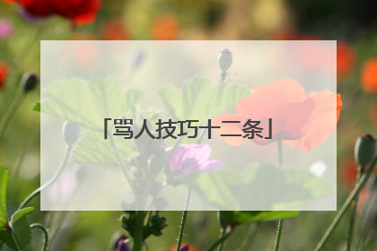 骂人技巧十二条