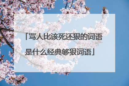 骂人比该死还狠的词语是什么经典够狠词语