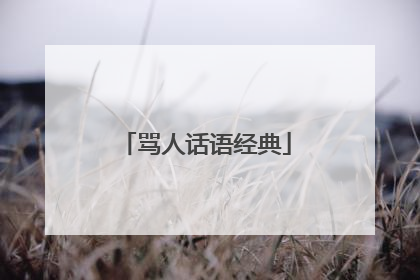 骂人话语经典
