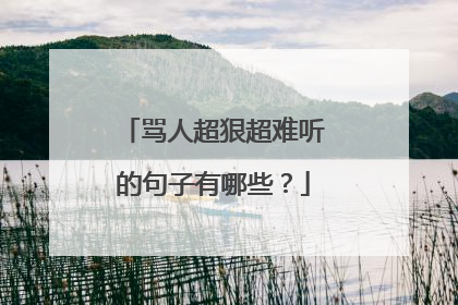 骂人超狠超难听的句子有哪些?