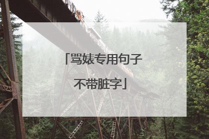 骂婊专用句子 不带脏字