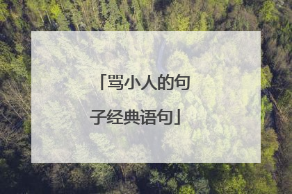 骂小人的句子经典语句