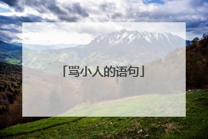 骂小人的语句