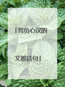 骂负心汉的文雅诗句