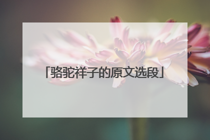 骆驼祥子的原文选段