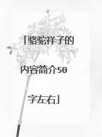骆驼祥子的内容简介50字左右