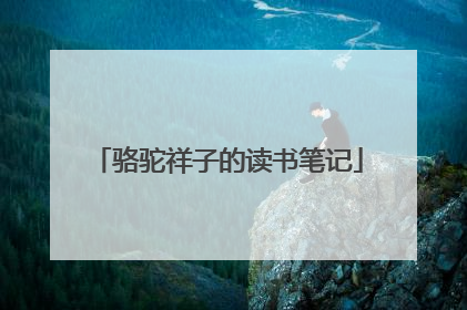 骆驼祥子的读书笔记