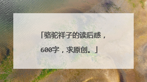 骆驼祥子的读后感，600字，求原创。