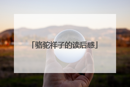 骆驼祥子的读后感