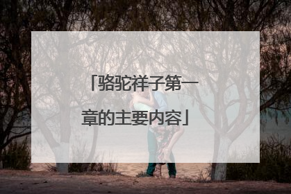 骆驼祥子第一章的主要内容