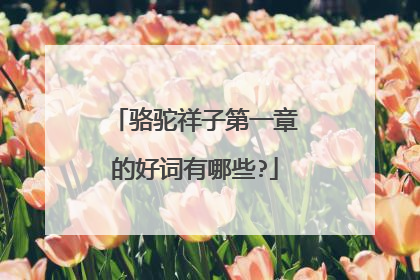 骆驼祥子第一章的好词有哪些?