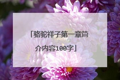 骆驼祥子第一章简介内容100字