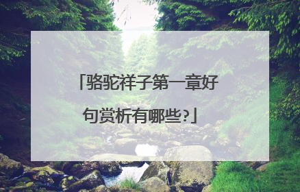 骆驼祥子第一章好句赏析有哪些?