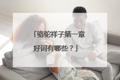 骆驼祥子第一章好词有哪些?