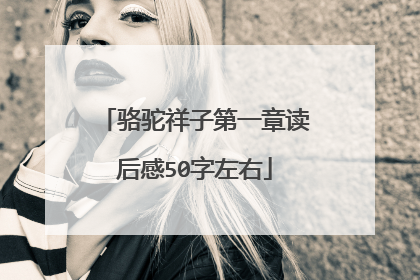 骆驼祥子第一章读后感50字左右